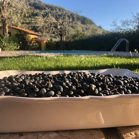 Apartman La Quiete Massa Lubrense