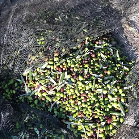 La Quiete Massa Lubrense