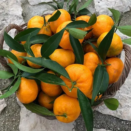 La Quiete * Massa Lubrense